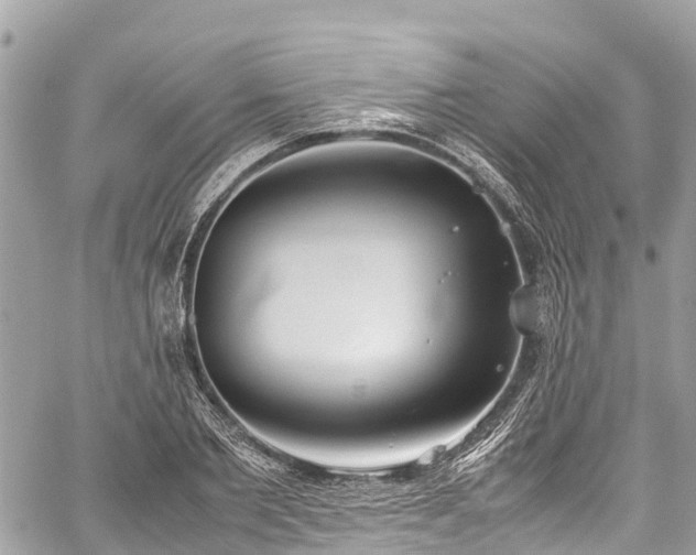 X0000059830885200510241418