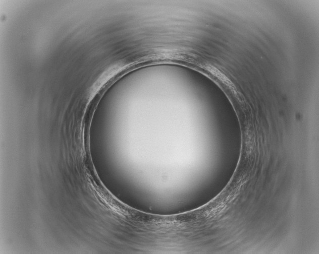 X0000059830886200510241418