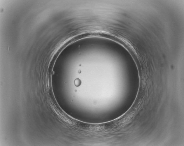 X0000059830887200510241418