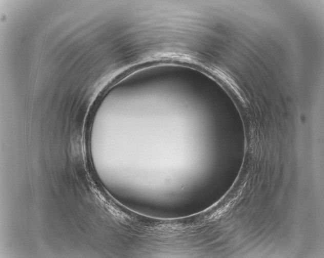 X0000059830888200510241418