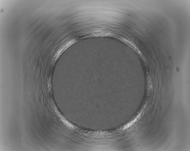 X0000059830889200510241418