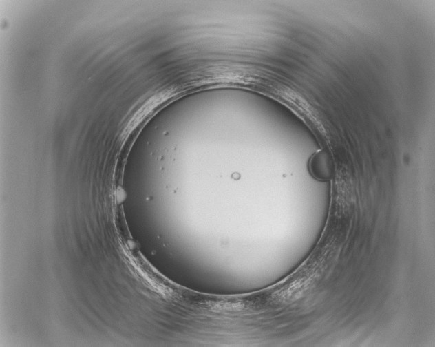 X0000059830890200510241418