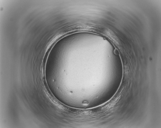 X0000059830891200510241418