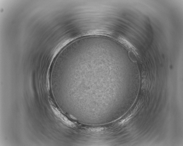 X0000059830892200510241418