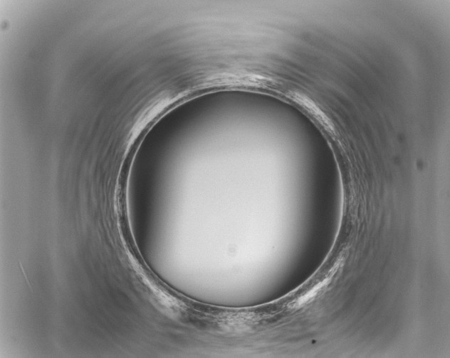 X0000059830893200510241418