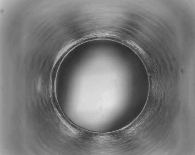 X0000059830894200510241418