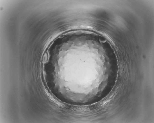 X0000059830895200510241418