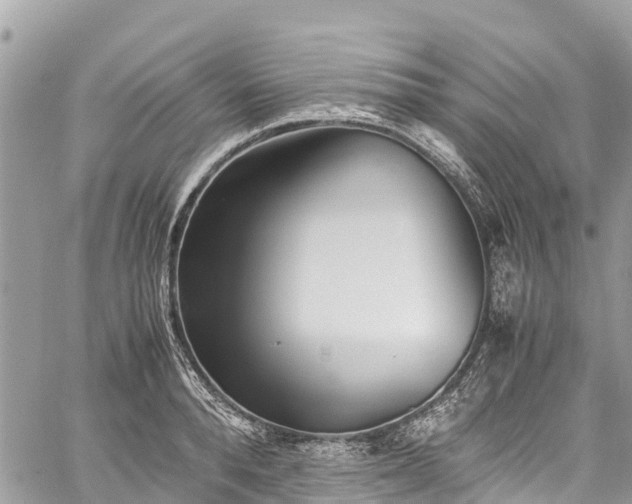 X0000059830896200510241418