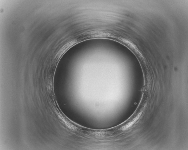 X0000059830897200510241418