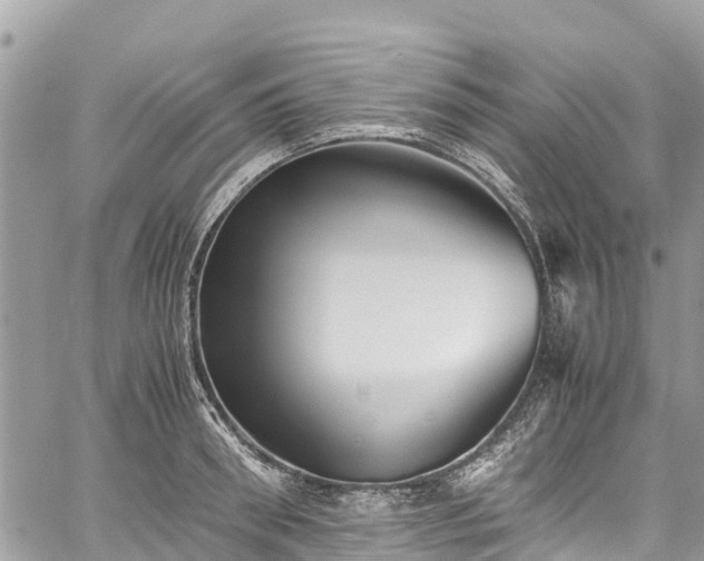 X0000059830898200510241418