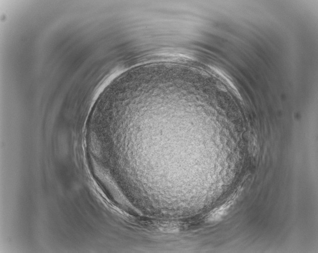 X0000059830899200510241418