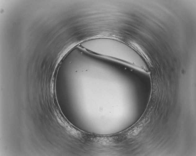 X0000059830900200510241418