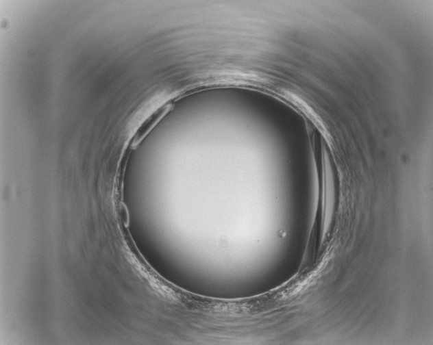 X0000059830901200510241418