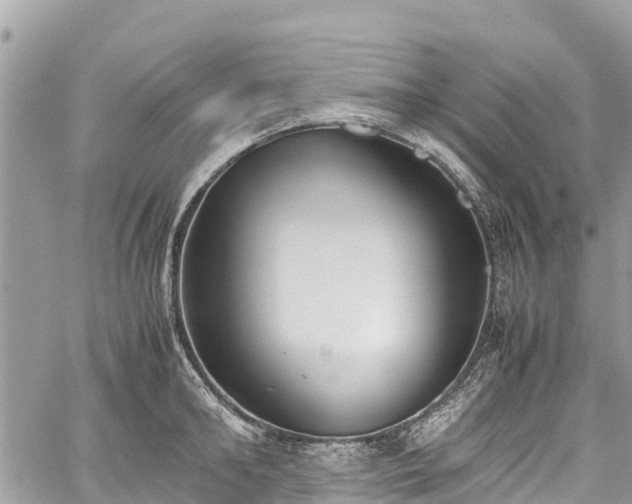 X0000059830902200510241418