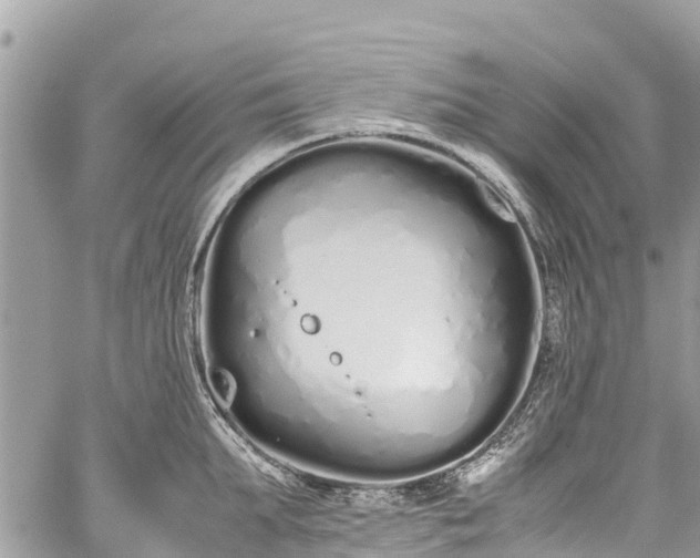 X0000059830903200510241418