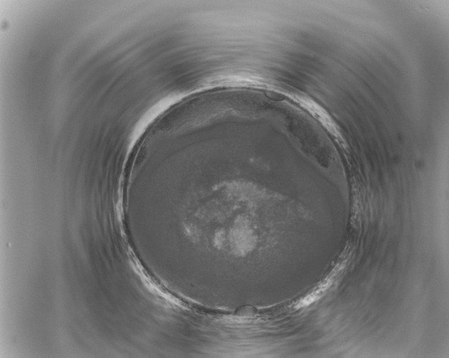 X0000059830904200510241418