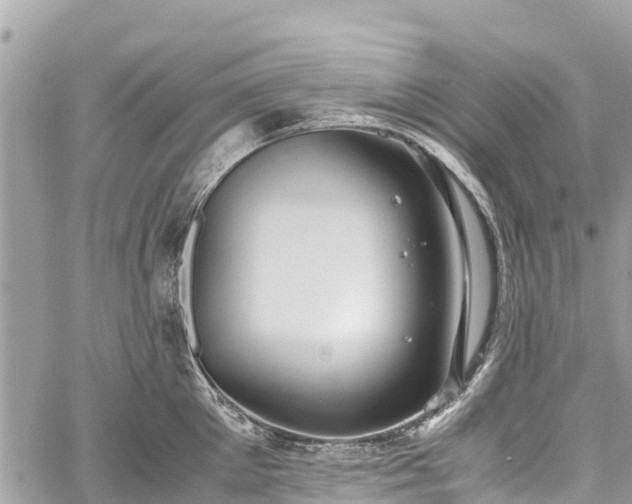 X0000059830905200510241418