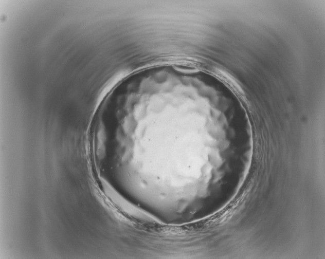 X0000059830907200510241418