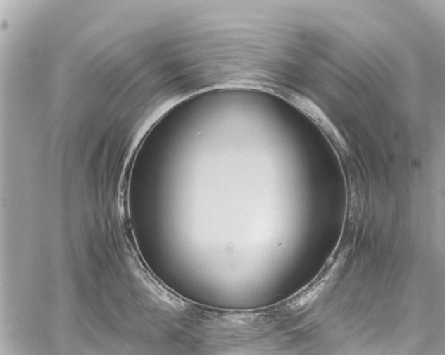 X0000059830908200510241418