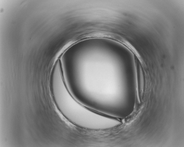 X0000059830909200510241418