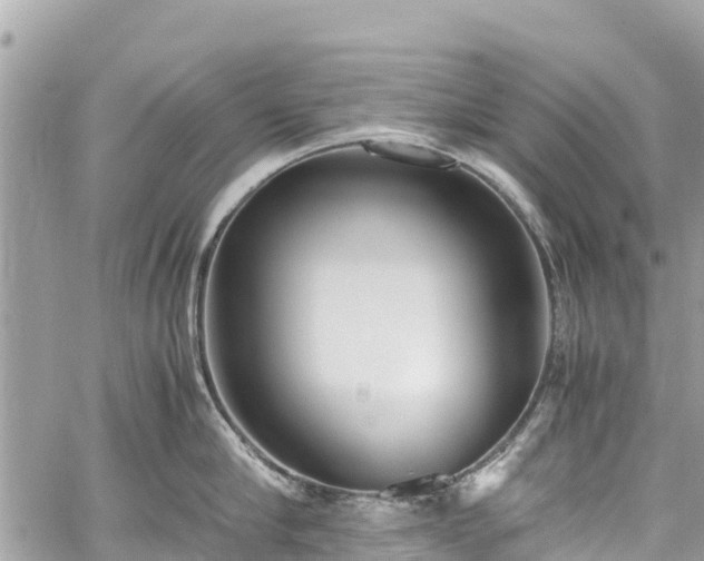 X0000059830910200510241418