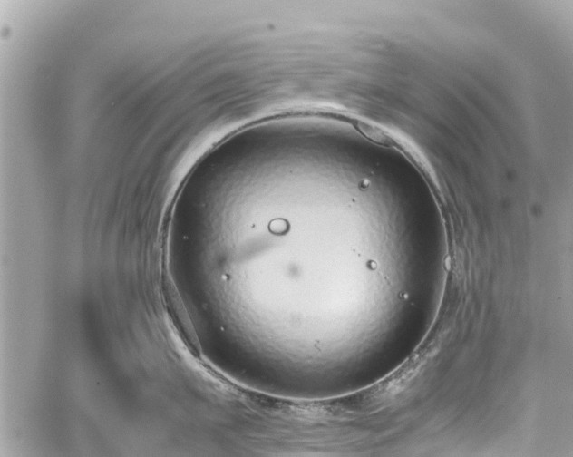 X0000059830911200510241418