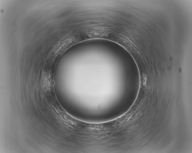 X0000059830915200510241417