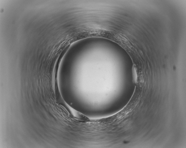 X0000059830916200510241417