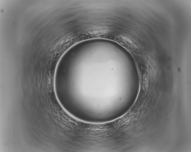 X0000059830917200510241417