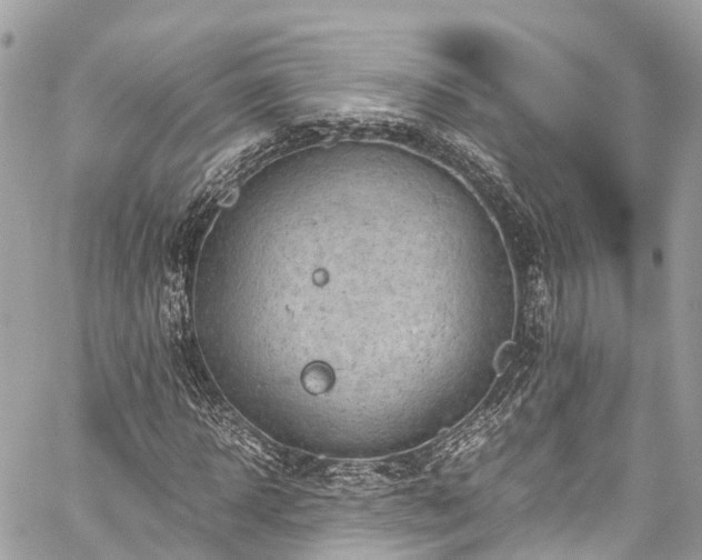 X0000059830918200510241417