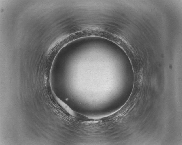 X0000059830919200510241417