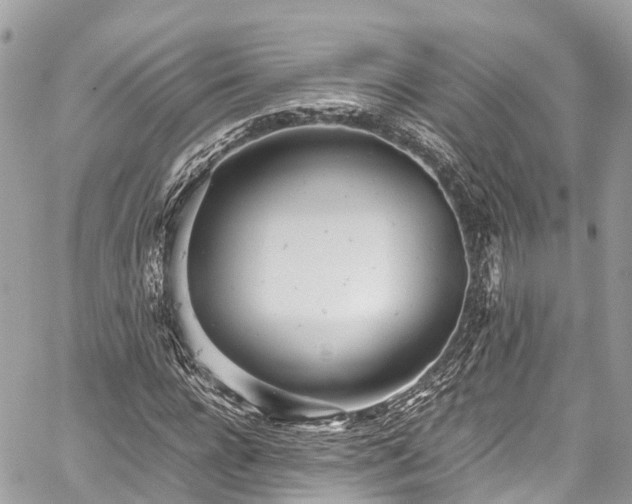 X0000059830920200510241417