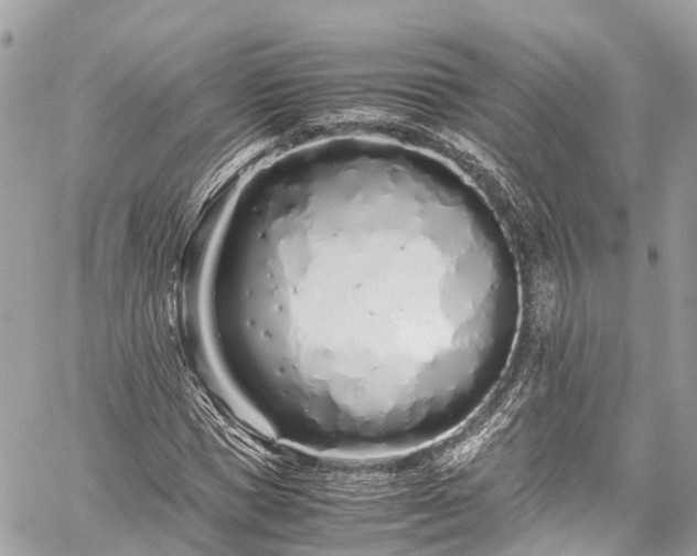 X0000059830921200510241417