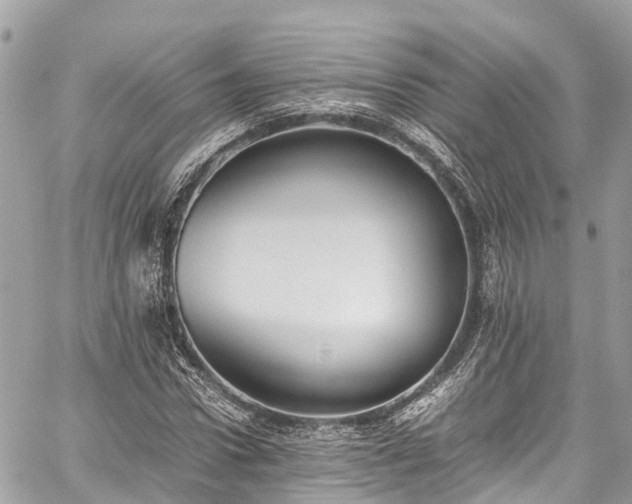 X0000059830922200510241417