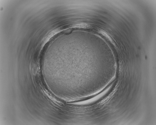 X0000059830923200510241417