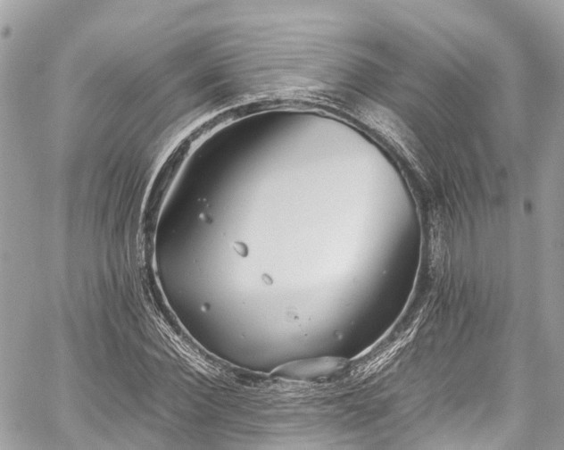 X0000059830924200510241417