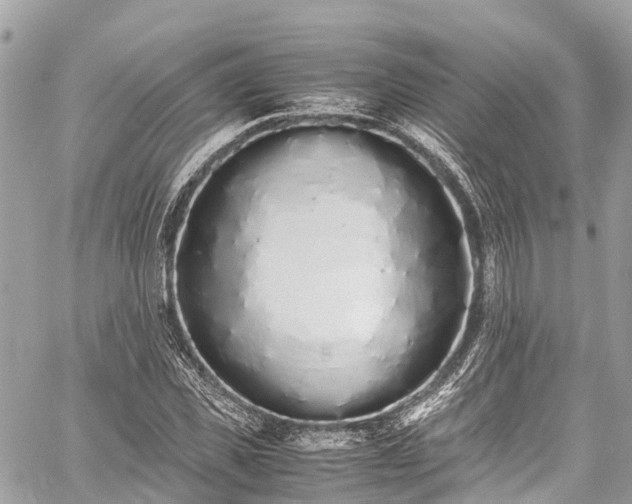 X0000059830925200510241417