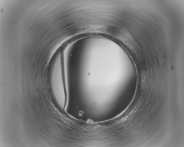 X0000059830926200510241417