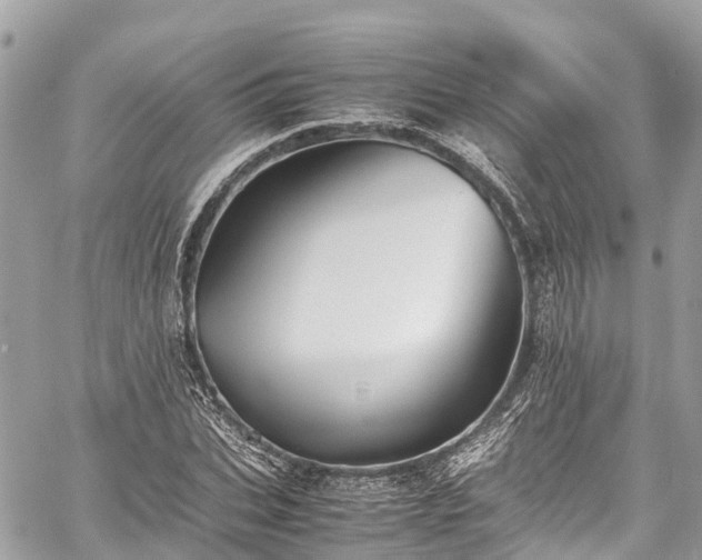 X0000059830927200510241417