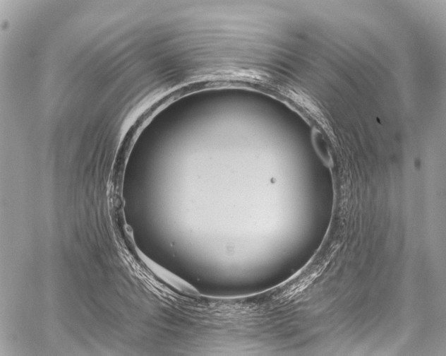 X0000059830928200510241417