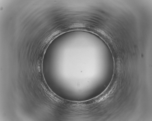 X0000059830929200510241417