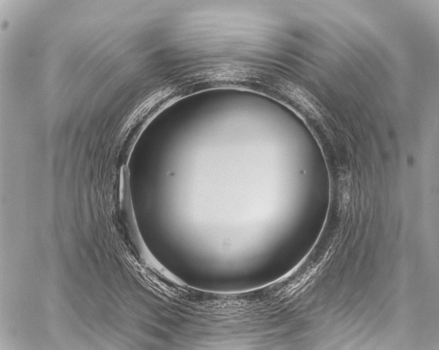 X0000059830930200510241417