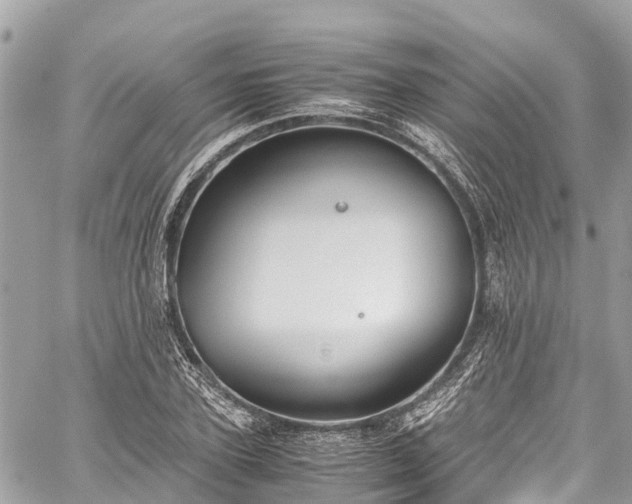 X0000059830931200510241417