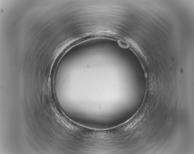 X0000059830932200510241417