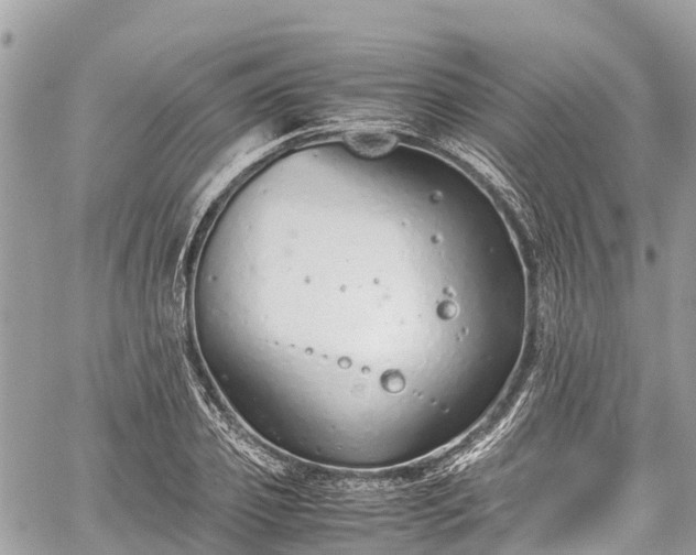 X0000059830933200510241417