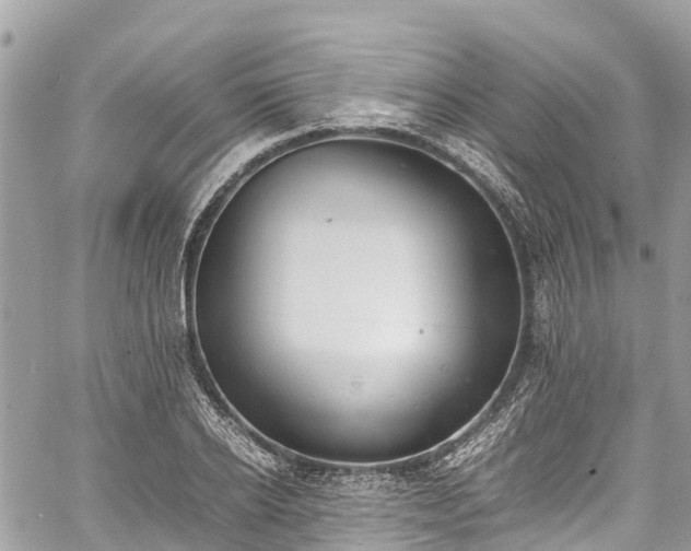 X0000059830934200510241417