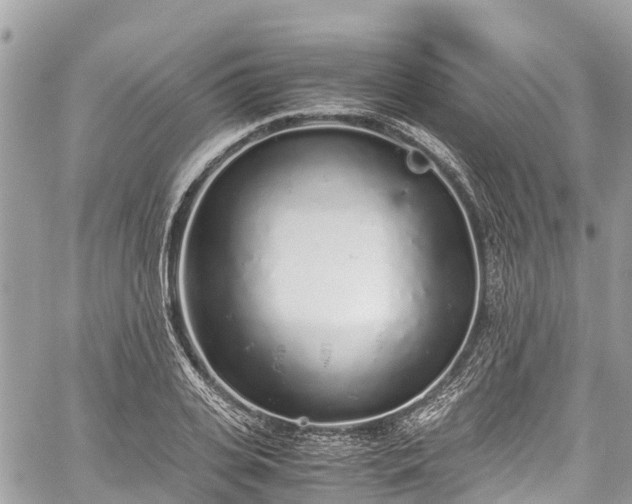 X0000059830935200510241417