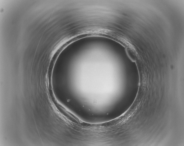 X0000059830936200510241417