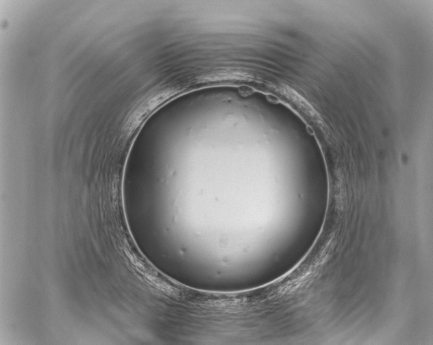 X0000059830937200510241417