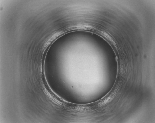 X0000059830938200510241417